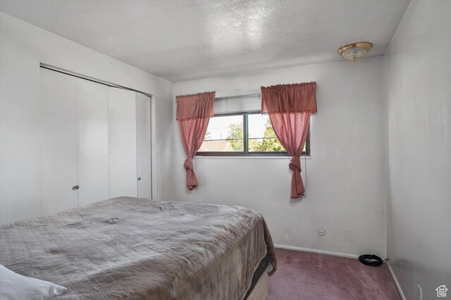 2263 W 4400 S, Roy, UT 84067 - bedroom with carpet, baseboards, and a closet