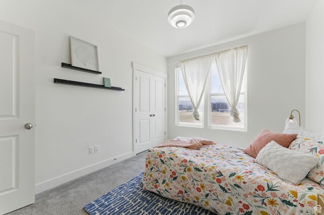 11398 Lake Run Rd, South Jordan, UT 84095 - bedroom with carpet, baseboards, and a closet