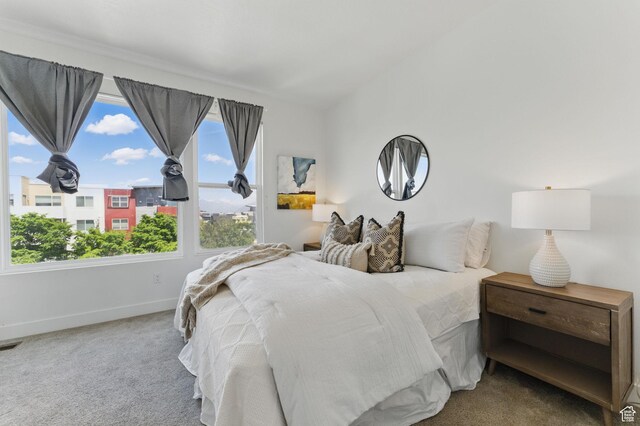 11398 Lake Run Rd, South Jordan, UT 84095 - carpeted bedroom with baseboards