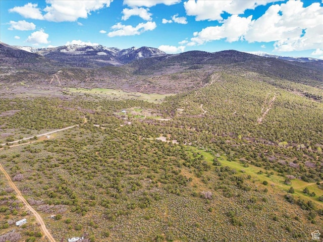 13950 N 9850 E, Spring City, UT 84662