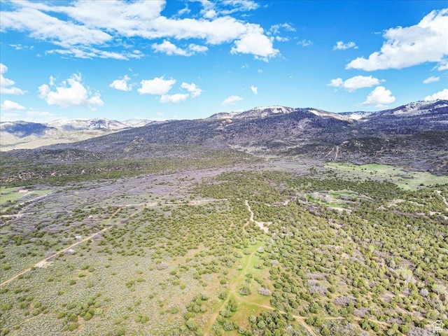 13950 N 9850 E, Spring City, UT 84662