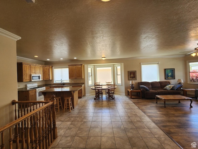 3368 N 700 E, Lehi, UT 84043 - living area with crown molding, a textured ceiling, a ceiling fan, and baseboards