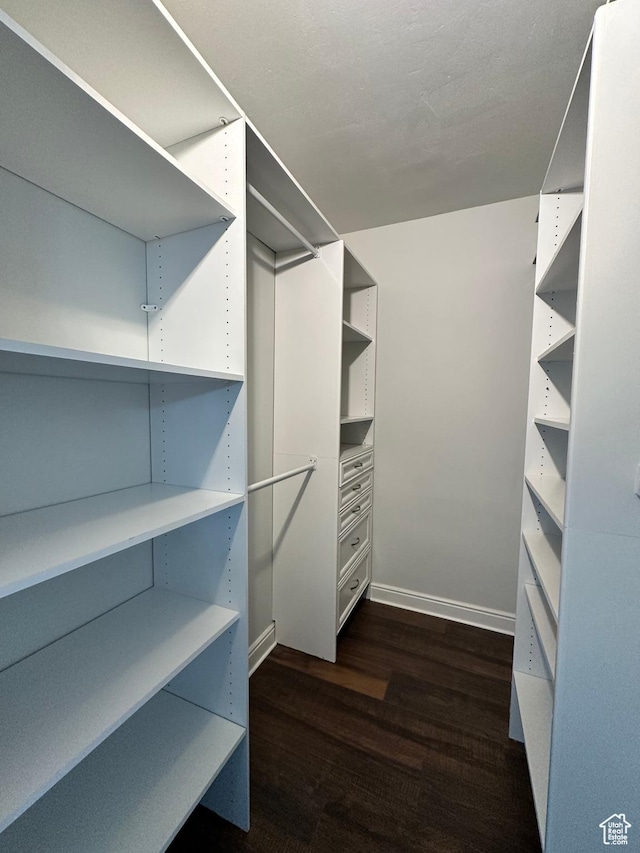 241 N Vine St E Unit 207W, Salt Lake City, UT 84103 - walk in closet with dark wood-style floors