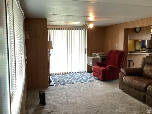 111 N 4th E, Manila, UT 84046 - carpeted living area featuring wood walls