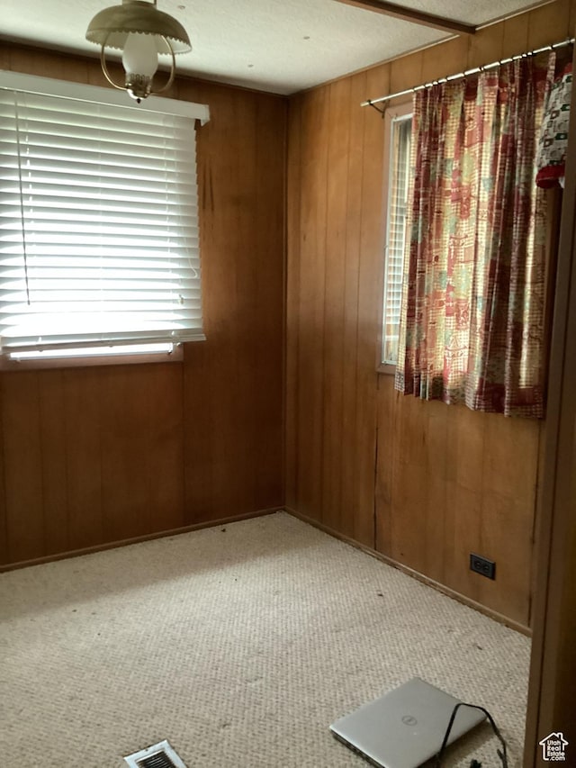 111 N 4th E, Manila, UT 84046 - carpeted spare room with wood walls and plenty of natural light