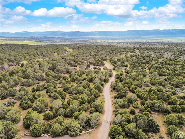 13850 N 9850 E, Spring City, UT 84662