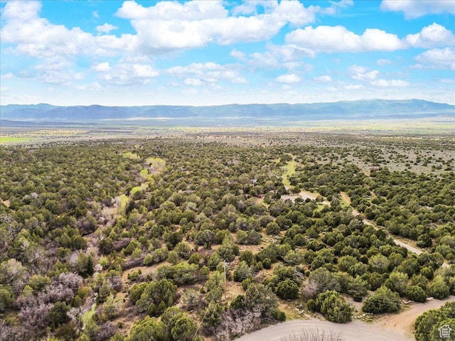 13850 N 9850 E, Spring City, UT 84662