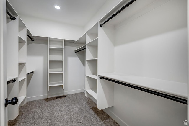 1605 S 1100 W, Payson, UT 84651 - walk in closet with carpet