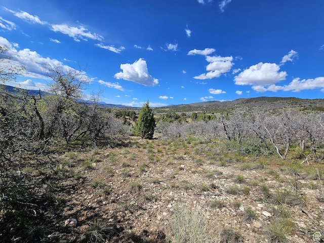 24 Spring Creek Dr Unit B24, Fairview, UT 84629
