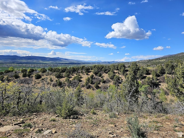 24 Spring Creek Dr Unit B24, Fairview, UT 84629