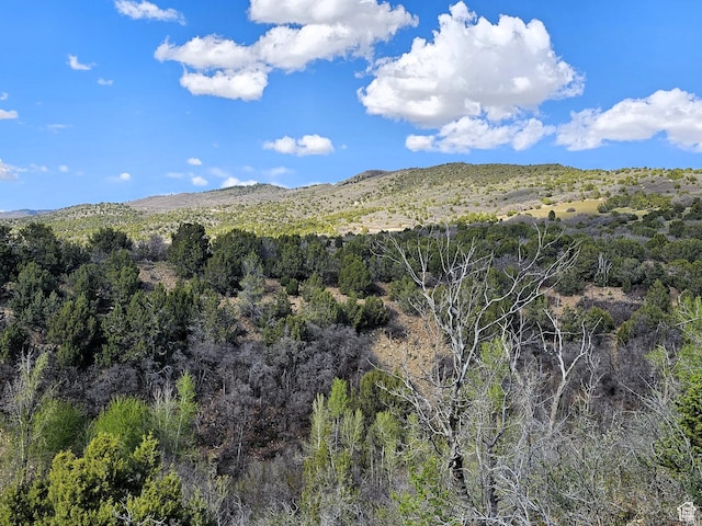 24 Spring Creek Dr Unit B24, Fairview, UT 84629
