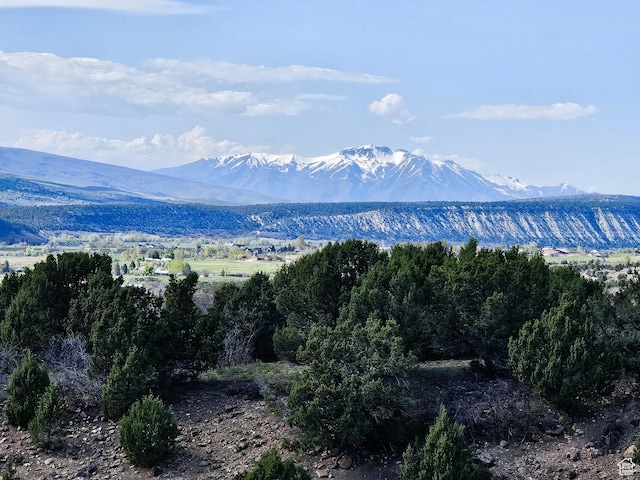 24 Spring Creek Dr Unit B24, Fairview, UT 84629