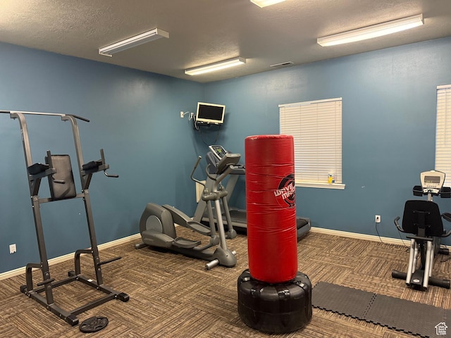 943 W 580 S Unit 97, Pleasant Grove, UT 84062 - exercise area featuring carpet flooring, a textured ceiling, and baseboards
