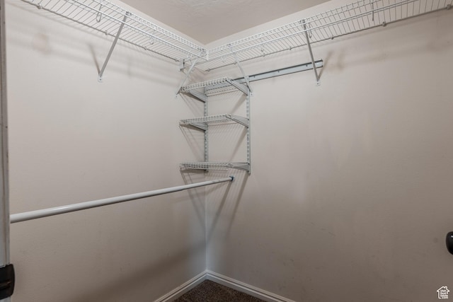 943 W 580 S Unit 97, Pleasant Grove, UT 84062 - walk in closet with carpet