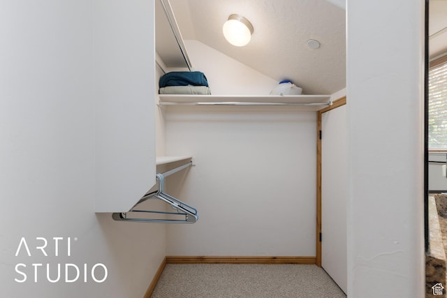3521 N Moose Hollow Dr Unit 1202, Eden, UT 84310 - spacious closet with carpet and lofted ceiling