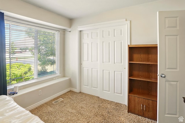 2865 W 3600 N, Farr West, UT 84404 - unfurnished bedroom with carpet floors, multiple windows, and a closet