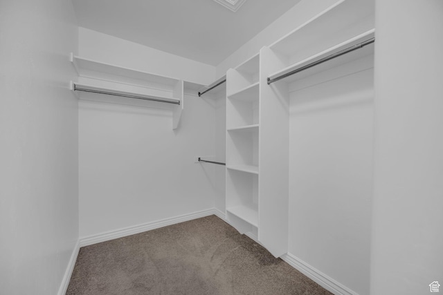 685 S 2220 W Unit 302, Pleasant Grove, UT 84062 - walk in closet with carpet