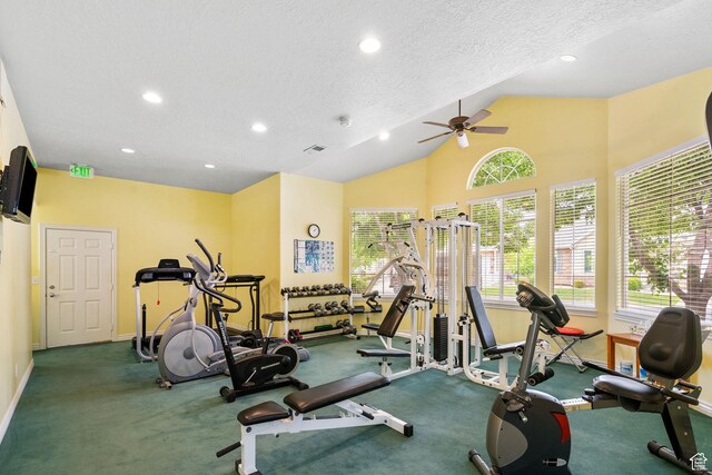 12482 S Tithing Point Dr, Riverton, UT 84065 - workout area featuring a ceiling fan, baseboards, vaulted ceiling, a textured ceiling, and recessed lighting