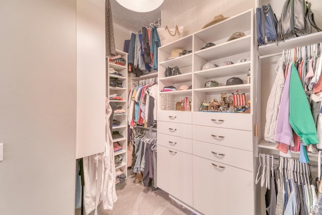 3207 W 2650 S, Hurricane, UT 84737 - spacious closet featuring light colored carpet