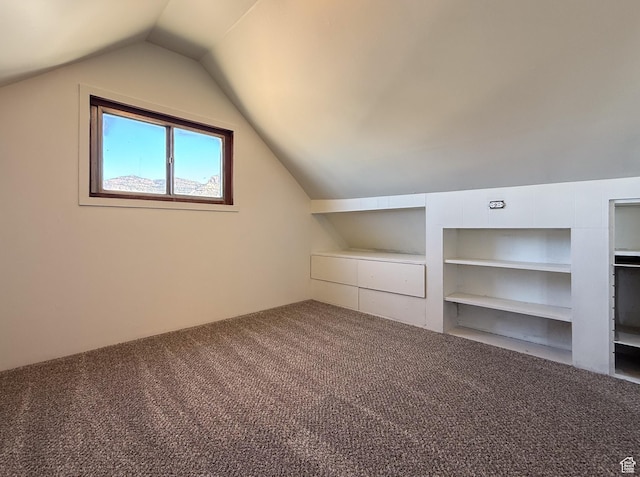 346 Columbia Dr, East Carbon, UT 84520 - additional living space featuring carpet flooring, vaulted ceiling, and built in shelves