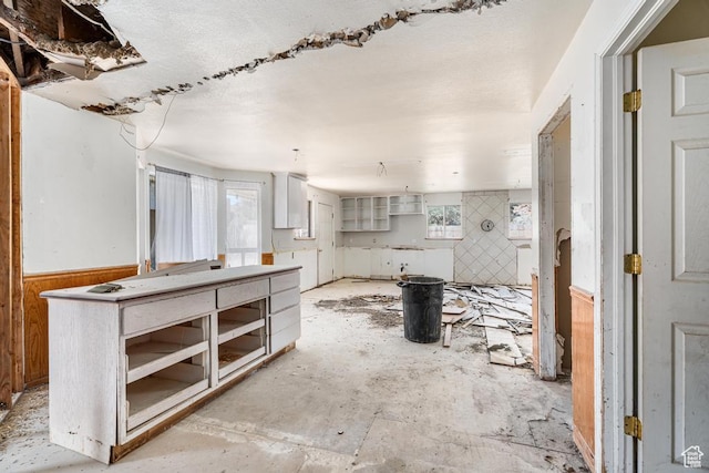 785 N Lauritzen St, Hildale, UT 84784 - kitchen featuring wainscoting and wooden walls