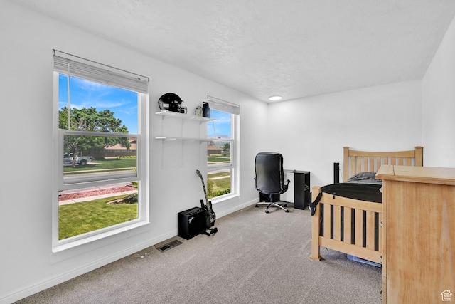 2195 W 4250 S, Roy, UT 84067 - bedroom with carpet flooring, baseboards, a desk, and a textured ceiling