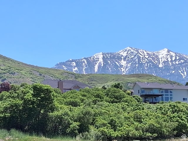 1126 E 140 N, Lindon, UT 84042 - photo 33