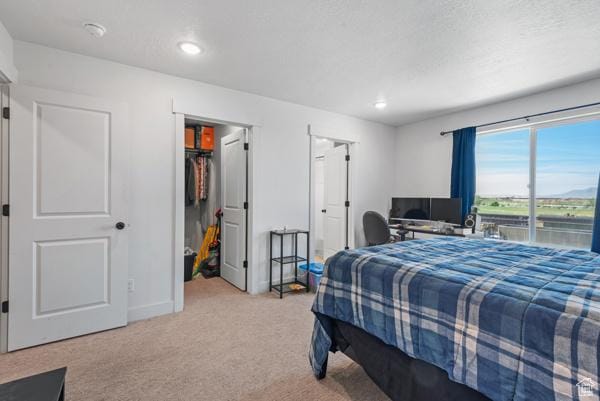 1024 E 1300 S Unit 31, Provo, UT 84606 - bedroom with light carpet, a spacious closet, recessed lighting, and baseboards