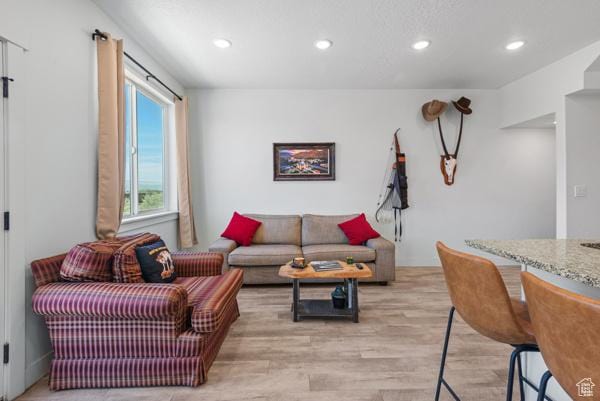 1024 E 1300 S Unit 31, Provo, UT 84606 - living area featuring recessed lighting and light wood-style flooring