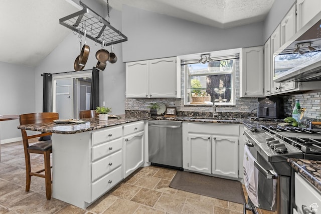 720 Freedom Cir N, Salt Lake, UT 84054 - kitchen with stainless steel appliances, a peninsula, a sink, vaulted ceiling, and backsplash