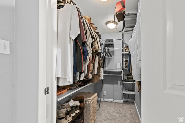 720 Freedom Cir N, Salt Lake, UT 84054 - walk in closet featuring carpet floors
