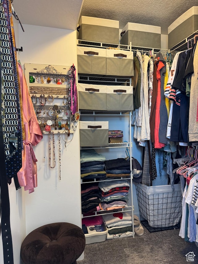 5308 W Solafax Ln S, Herriman, UT 84096 - walk in closet featuring carpet floors