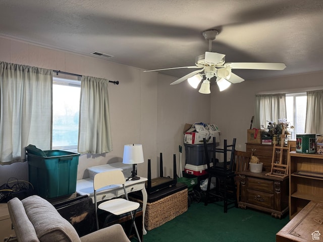 109 W 300 S, Holden, UT 84636 - carpeted office with a ceiling fan