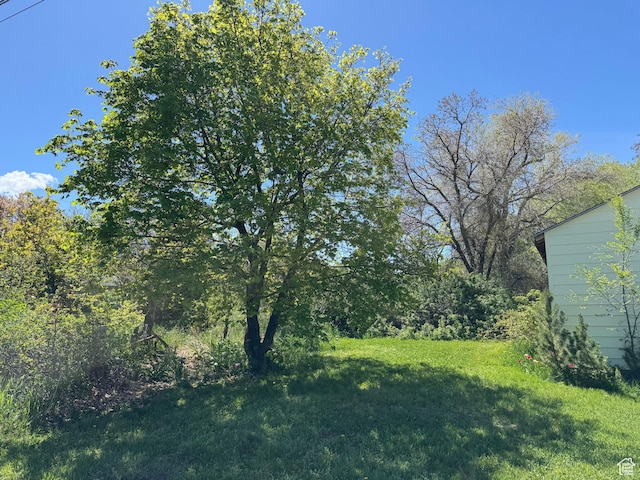 109 W 300 S, Holden, UT 84636 - view of grassy yard