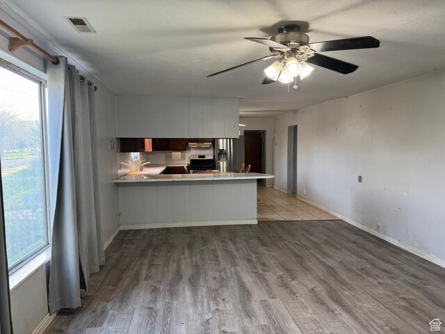 109 W 300 S, Holden, UT 84636 - kitchen with stainless steel appliances, healthy amount of natural light, a peninsula, and a ceiling fan