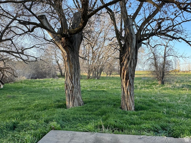 109 W 300 S, Holden, UT 84636 - view of yard