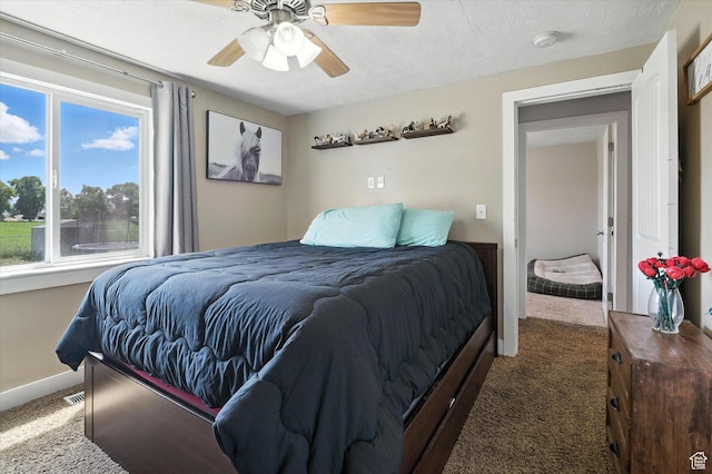 240 W 300 S, Smithfield, UT 84335 - photo 10