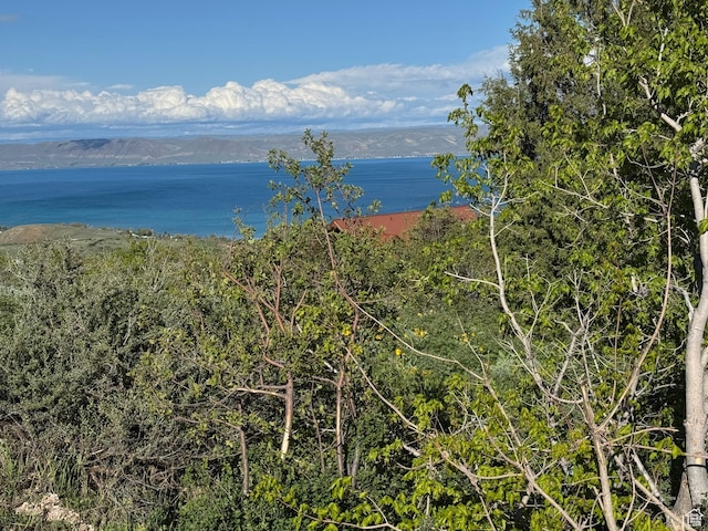 12 Aspen Pl Unit 470-, Fish Haven, ID 83287
