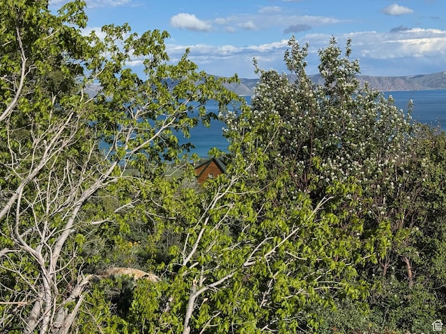 12 Aspen Pl Unit 470-, Fish Haven, ID 83287