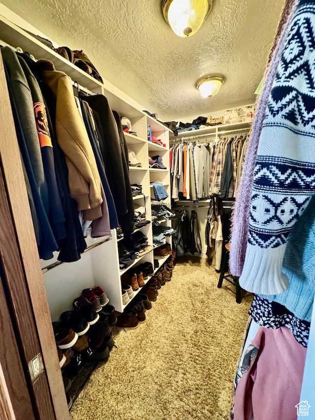 1660 E 900 S Unit 19, Clearfield, UT 84015 - walk in closet with carpet flooring