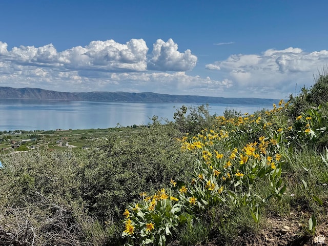 357 Juniper Dr Unit 480, Fish Haven, ID 83287 - water view featuring a mountain backdrop