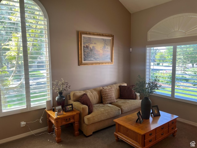 93 E Sweet Berry Ct, Draper, UT 84020 - carpeted living room with baseboards and plenty of natural light