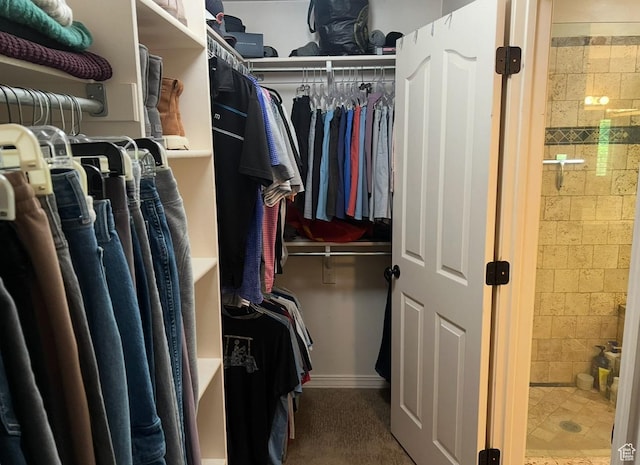 93 E Sweet Berry Ct, Draper, UT 84020 - view of spacious closet
