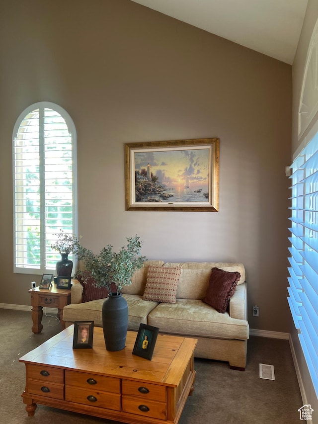 93 E Sweet Berry Ct, Draper, UT 84020 - living area with dark colored carpet, plenty of natural light, lofted ceiling, and baseboards