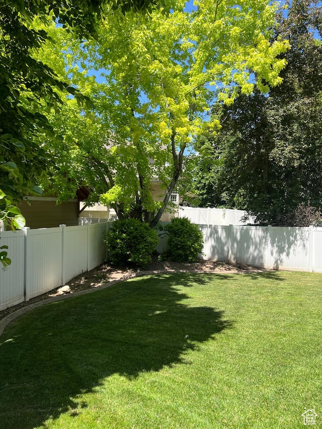 93 E Sweet Berry Ct, Draper, UT 84020 - view of yard