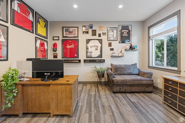 15113 S Cedar Meadow Cir, Herriman, UT 84096 - home office with wood finished floors, baseboards, and recessed lighting