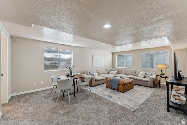 926 N 600 W, American Fork, UT 84003 - living area with a textured ceiling, carpet floors, baseboards, and recessed lighting