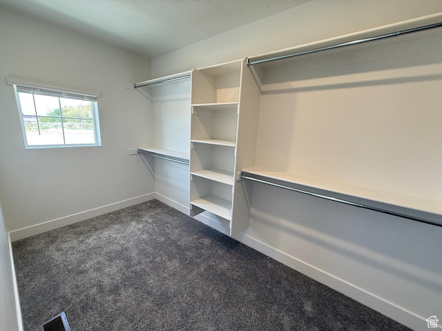 3664 S 4600 W Unit 222, West Haven, UT 84401 - walk in closet featuring dark colored carpet