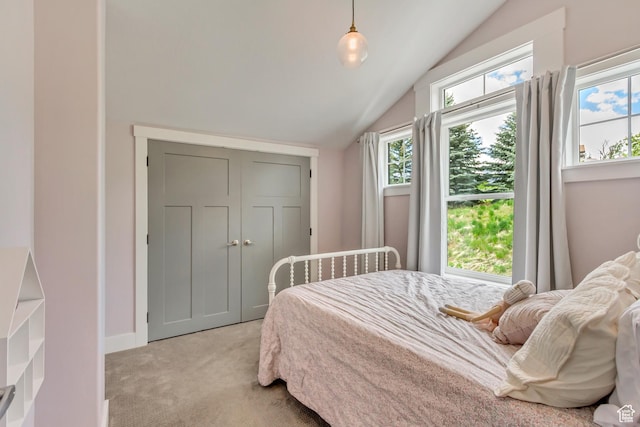 1685 N 300 E, Midway, UT 84049 - bedroom with light colored carpet, lofted ceiling, and a closet