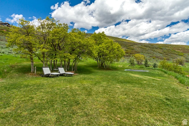 1685 N 300 E, Midway, UT 84049 - view of grassy yard with a mountain view